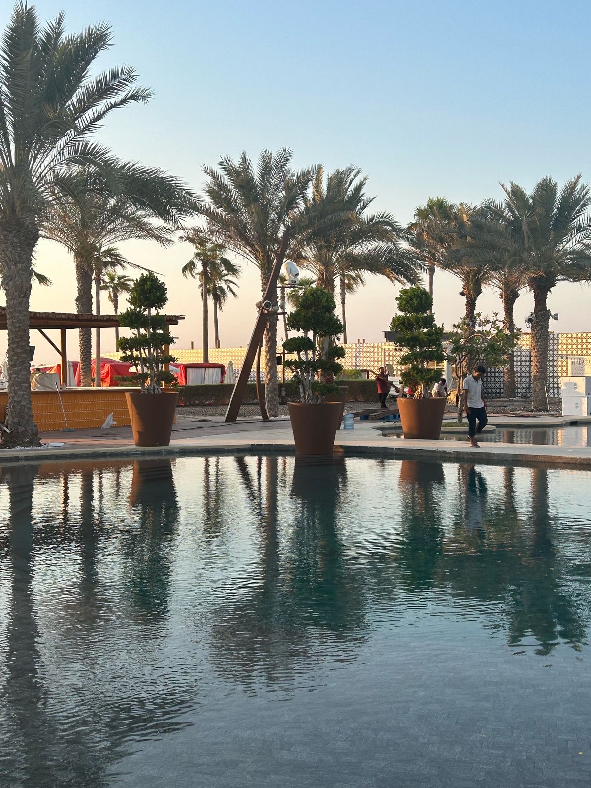 Palm and pool landscape