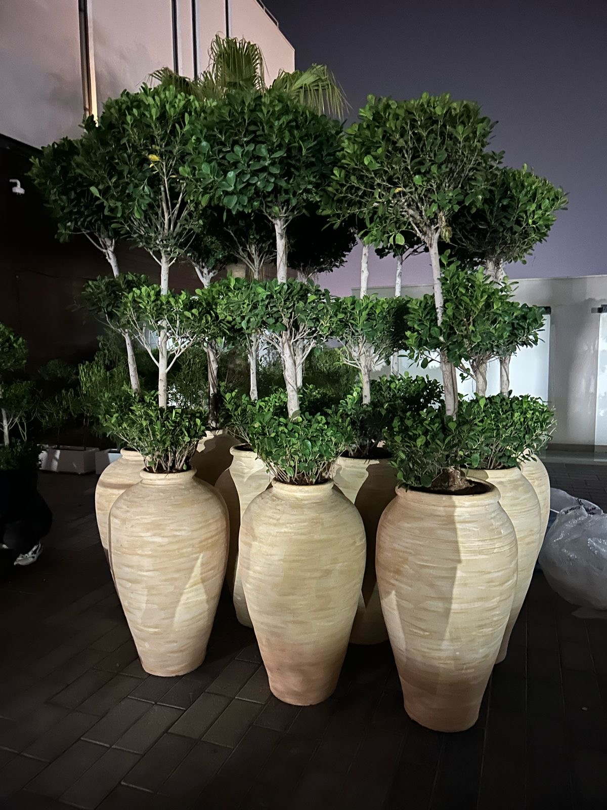 Feature topiary